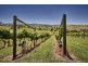 655 Craigburn Road, Hillwood TAS 7252
