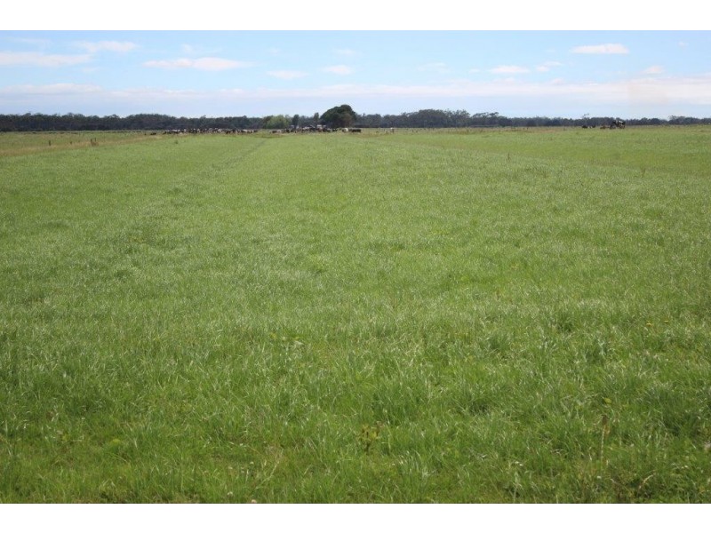 315 Partridge Road, Togari TAS 7330