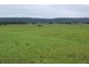315 Partridge Road, Togari TAS 7330