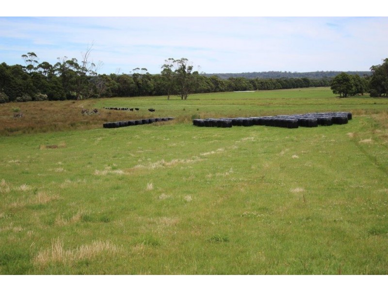 . Blackwood Road, Togari TAS 7330