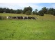 . Blackwood Road, Togari TAS 7330