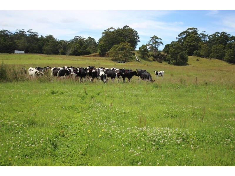 . Blackwood Road, Togari TAS 7330