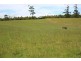 . Blackwood Road, Togari TAS 7330