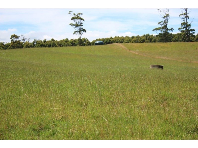 . Blackwood Road, Togari TAS 7330