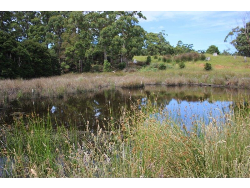 . Blackwood Road, Togari TAS 7330
