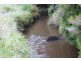 . Blackwood Road, Togari TAS 7330