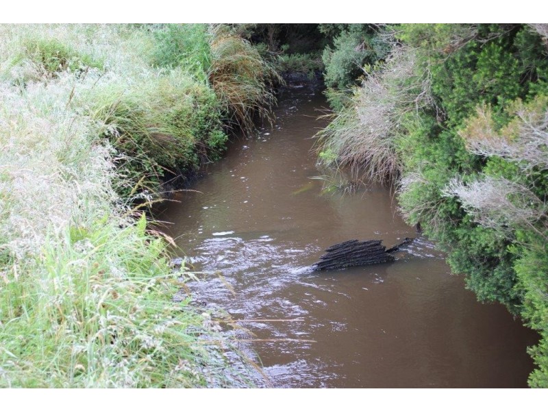 . Blackwood Road, Togari TAS 7330