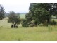 . Blackwood Road, Togari TAS 7330