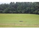 . Blackwood Road, Togari TAS 7330