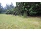 . Blackwood Road, Togari TAS 7330