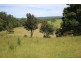 . Blackwood Road, Togari TAS 7330