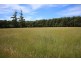 . Blackwood Road, Togari TAS 7330