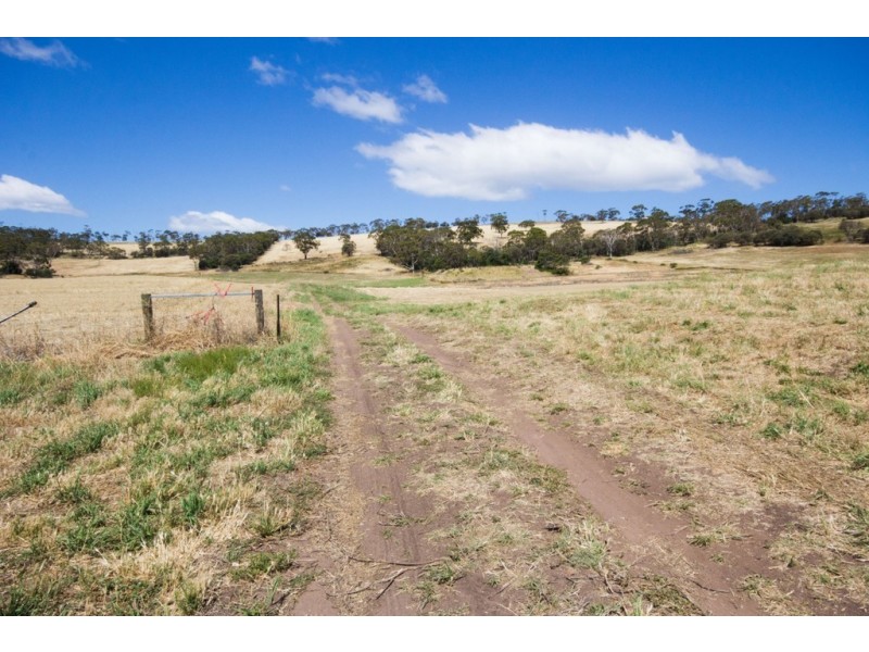 21 Spitfarm Road, Opossum Bay TAS 7023