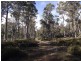 . Silver Plains Road, Interlaken TAS 7030