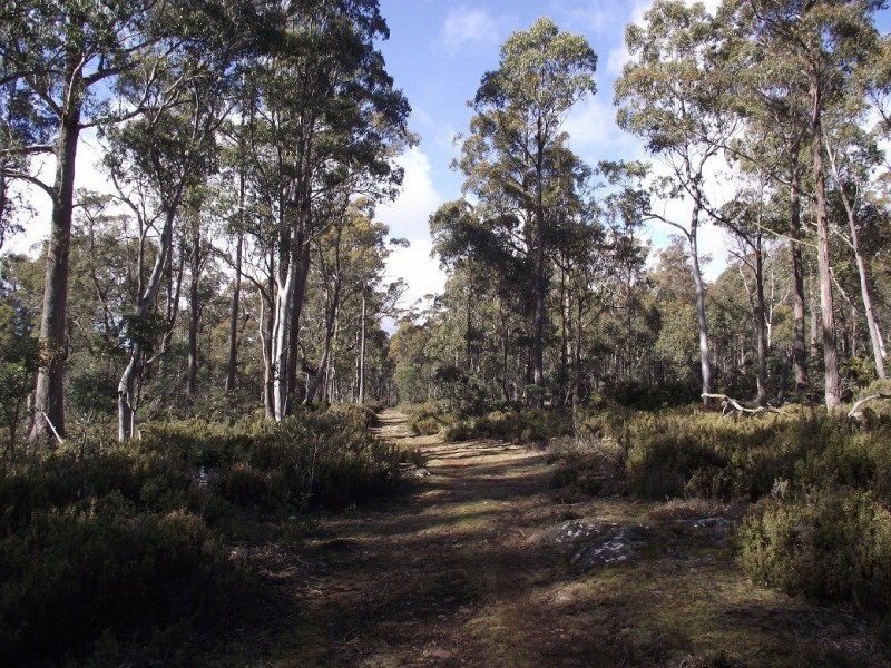 . Silver Plains Road, Interlaken TAS 7030