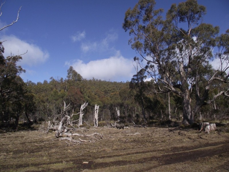 . Silver Plains Road, Interlaken TAS 7030