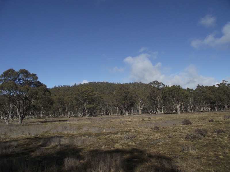 . Silver Plains Road, Interlaken TAS 7030
