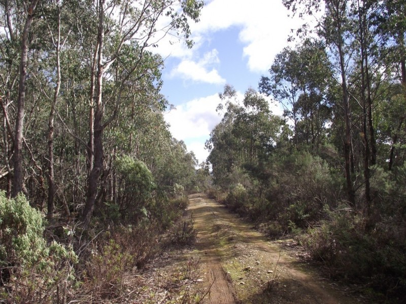 . Silver Plains Road, Interlaken TAS 7030