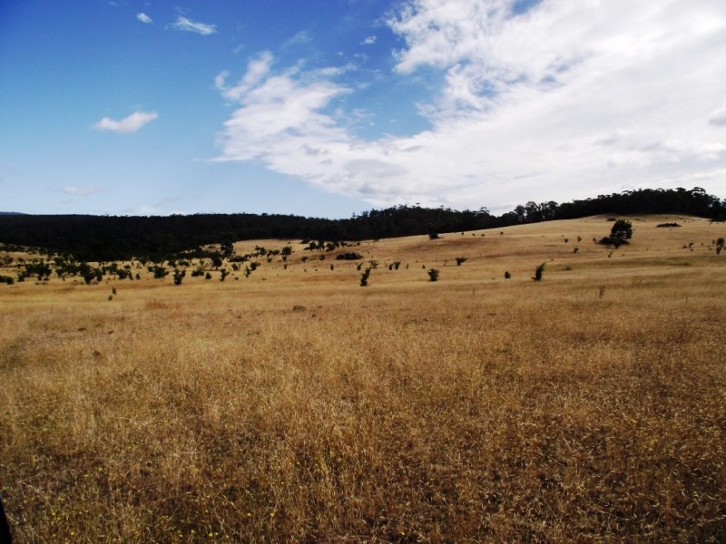 . Bresnehans Road, Little Swanport TAS 7190