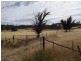 . Bresnehans Road, Little Swanport TAS 7190