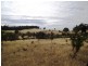 . Bresnehans Road, Little Swanport TAS 7190