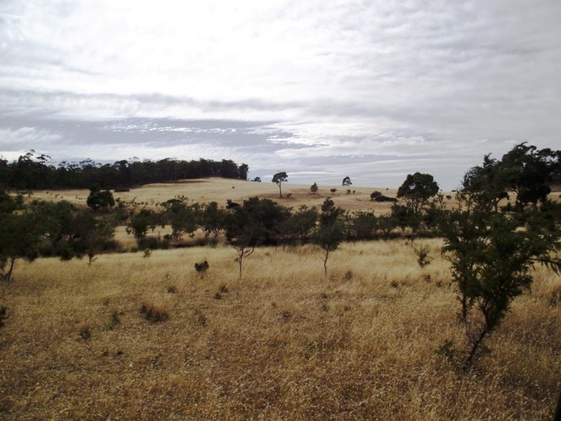 . Bresnehans Road, Little Swanport TAS 7190