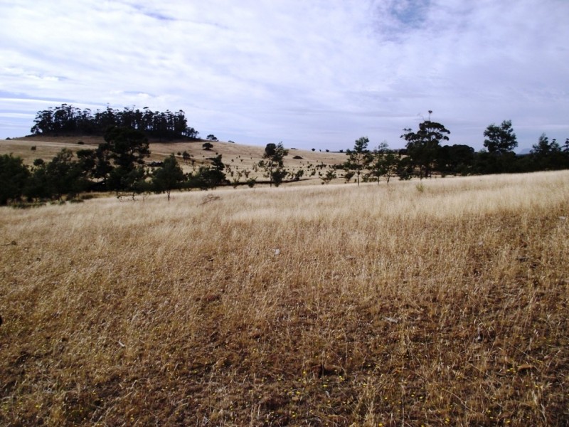 . Bresnehans Road, Little Swanport TAS 7190