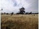 . Bresnehans Road, Little Swanport TAS 7190