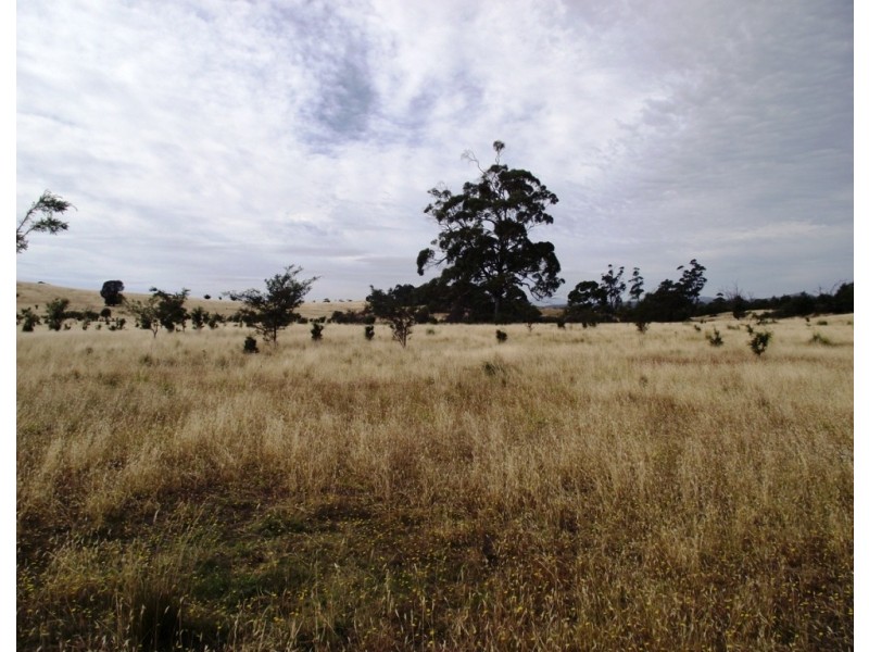 . Bresnehans Road, Little Swanport TAS 7190