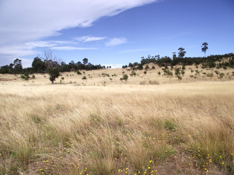 . Bresnehans Road, Little Swanport TAS 7190