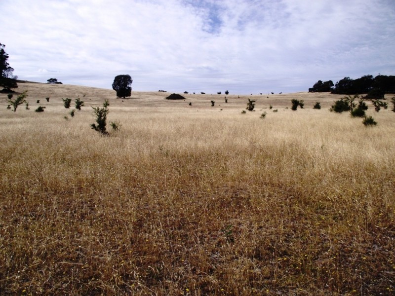 . Bresnehans Road, Little Swanport TAS 7190