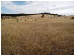 . Bresnehans Road, Little Swanport TAS 7190