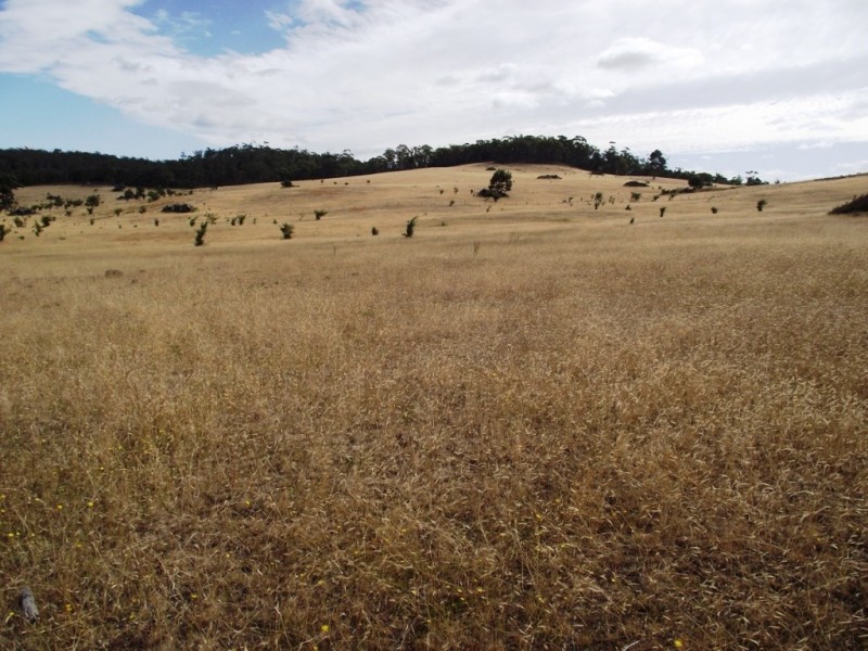 . Bresnehans Road, Little Swanport TAS 7190