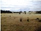 . Bresnehans Road, Little Swanport TAS 7190
