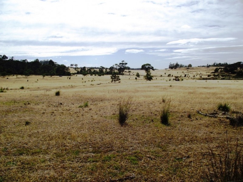 . Bresnehans Road, Little Swanport TAS 7190