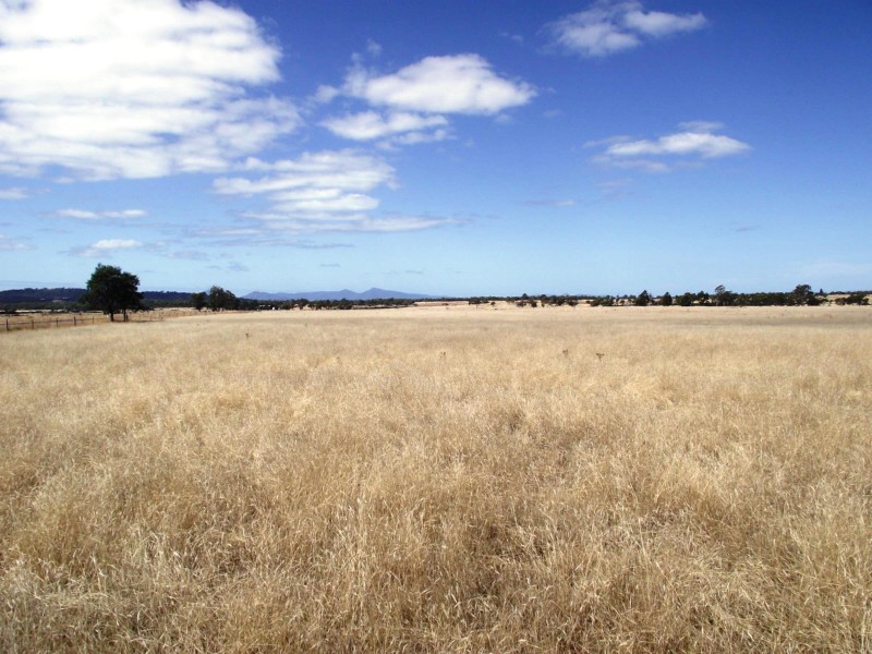5674 Lake Leake Road, Swansea TAS 7190