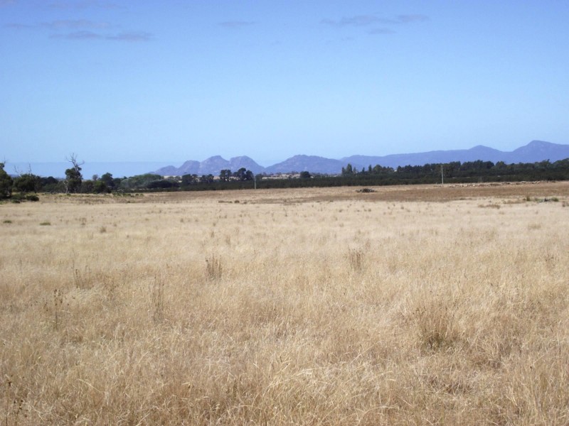 5674 Lake Leake Road, Swansea TAS 7190