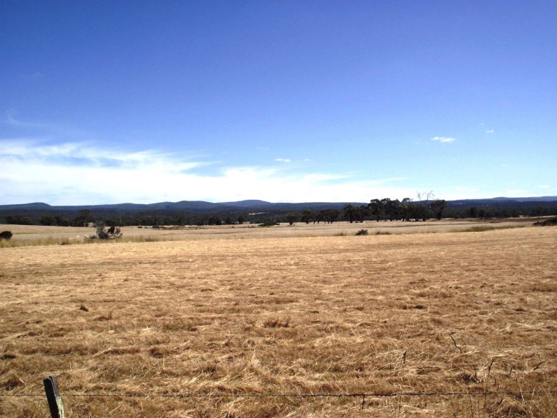 5674 Lake Leake Road, Swansea TAS 7190