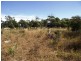 5674 Lake Leake Road, Swansea TAS 7190