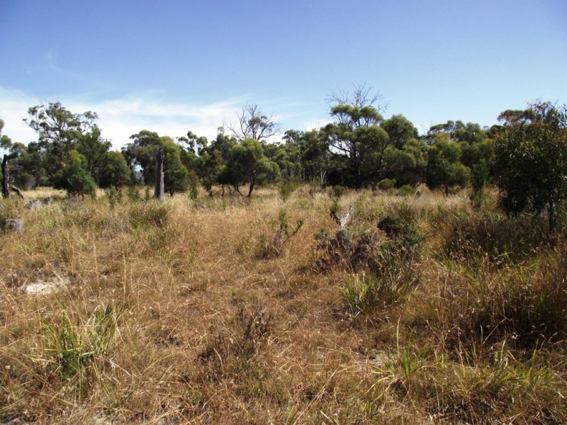5674 Lake Leake Road, Swansea TAS 7190