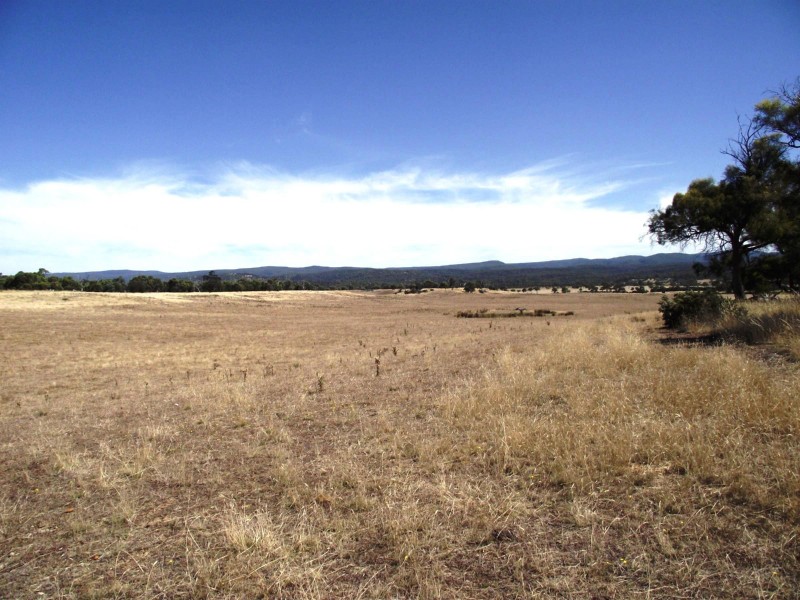 5674 Lake Leake Road, Swansea TAS 7190