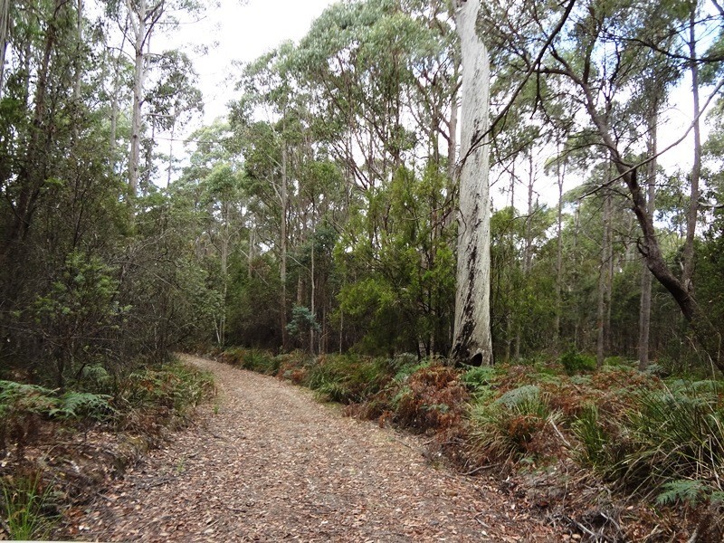 . Delantys Road, Birralee TAS 7303