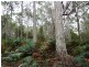 . Delantys Road, Birralee TAS 7303