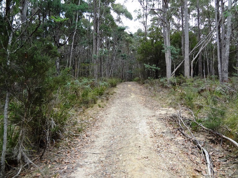 . Delantys Road, Birralee TAS 7303