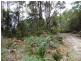 . Delantys Road, Birralee TAS 7303