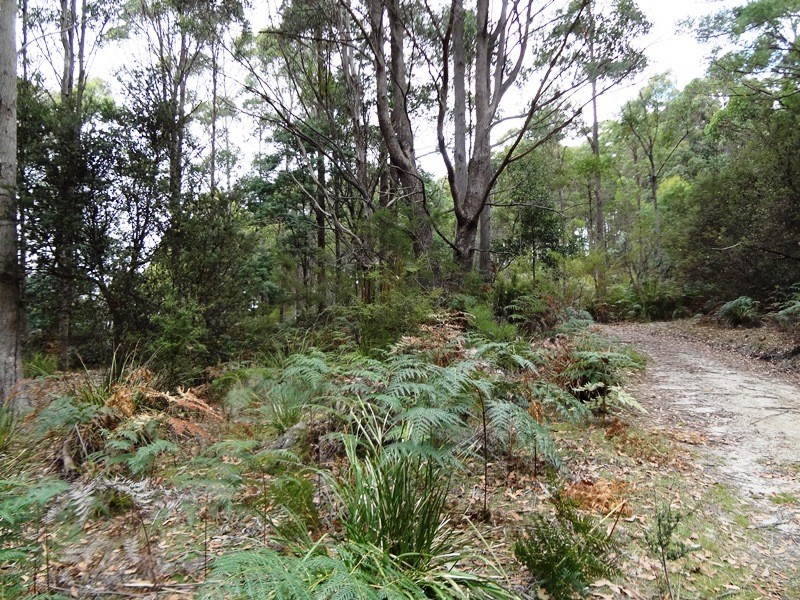 . Delantys Road, Birralee TAS 7303