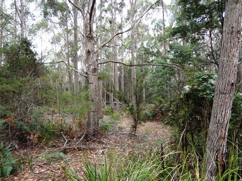 . Delantys Road, Birralee TAS 7303