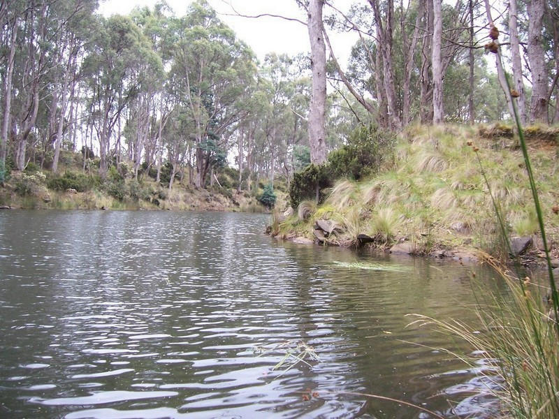 Bradys Lake TAS 7140