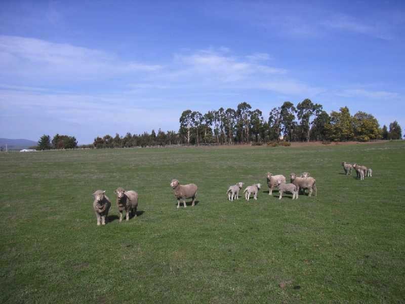 Lot 1 Grant Street, Campbell Town TAS 7210