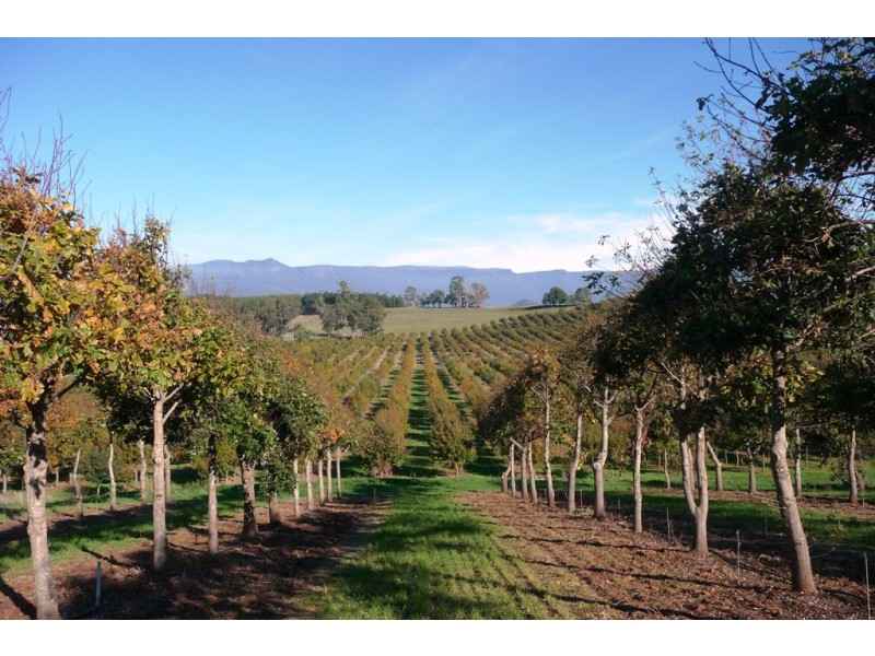 110 Trickett Road, Needles TAS 7304